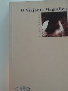 O Viajante Magnífico