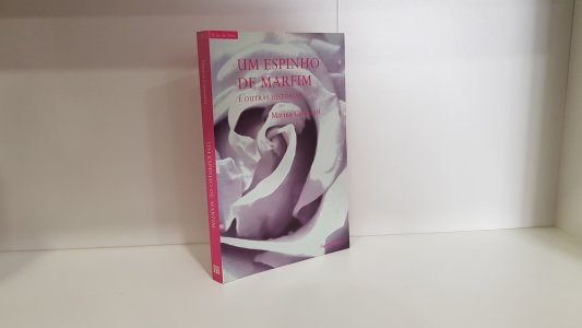 Um espinho de marfim