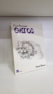 Como desenhar gatos