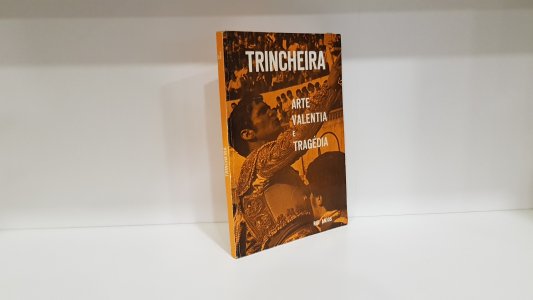 Trincheira: Arte, Valentia e Tragédia