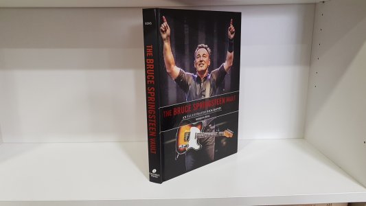 The Bruce Springsteen Vault: an illustrated biography