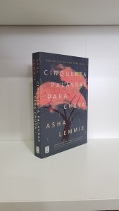 Cinquenta palavras para chuva