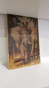 Tótó e Tátá na selva