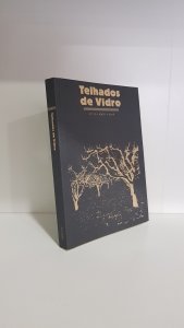 Telhados de Vidro nº6
