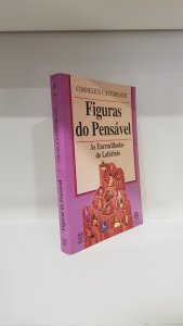 Figuras do Pensável